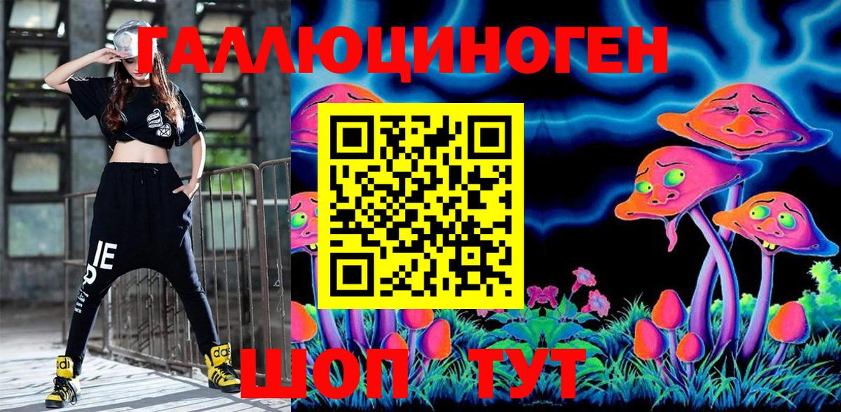 Псилоцибиновые грибы ЛСД Чернушка