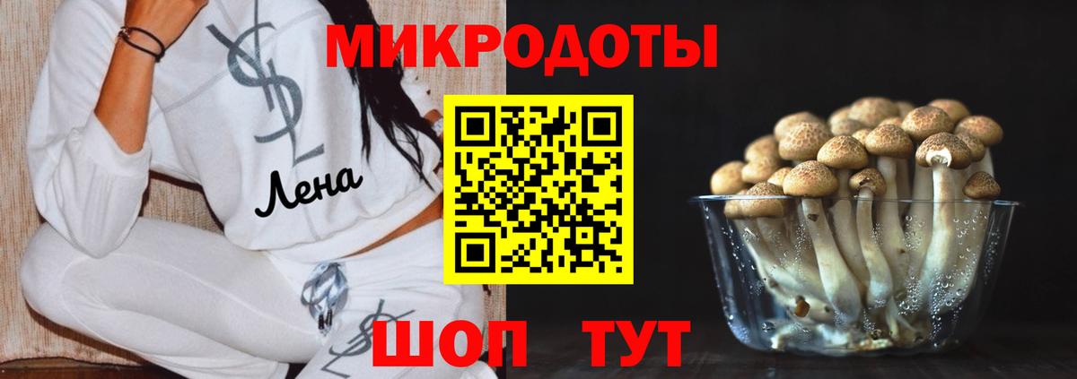 Галлюциногенные грибы MAGIC MUSHROOMS  Вход с VPN  Чернушка 